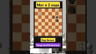 Telegram: Albinachess 