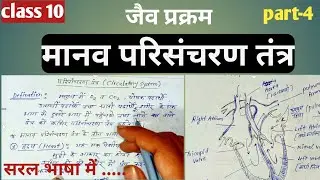 Circulatory system class 10 ||मानव परिसंचरण तंत्र | Life processes ||