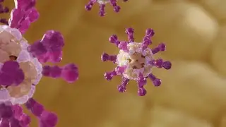 Robust and Durable Immune Response: Virus-Like Particle Vaccines