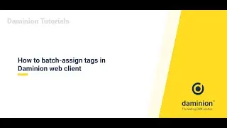 How to batch assign tags in Daminion web client