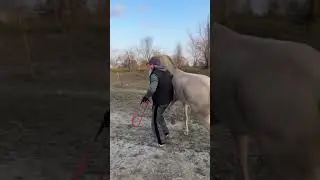 Subscribe, good people, please give me a hug 🫂 Thank you all for a good life ❤️