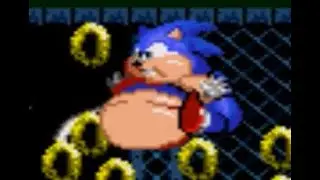 Fat Sonic 3A/Full Walkthrough