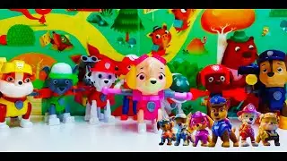 Cool puppies from the PAW patrol