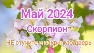 СКОРПИОН 🌈✨ МАЙ 2024. НЕ стучите в закрытую дверь.