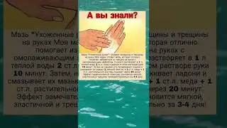 полезные советы 