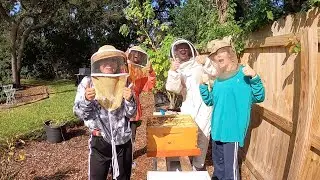 Tasting Local Honey From St. Augustine Straight From The Hive