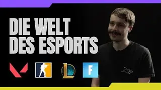 Esport: Was musst du wissen? / Netzdurchblick.de