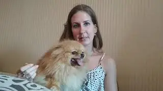 Надо ли стерилизовать собаку мелкой породы ?