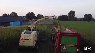 Mais Oogst 2021 Loonbedrijf Herman van den Berg