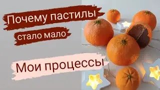 Пастилы мало. Шоколада много. Мои процессы. Мастер класс.