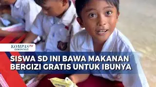 Viral Siswa SD di Gorontalo Bawa Pulang Makanan Bergizi Gratis Untuk Ibunya di Rumah