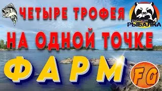 Four TROPHIES from one spot. Lake Ladoga. Russian Fishing 4. pp4. Russian Fishing 4