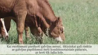 Is Organic Beef Grass Fed Beef