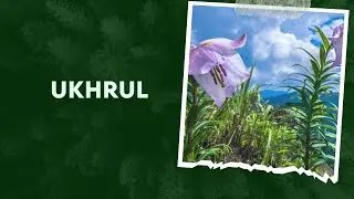 Journey Through Ukhrul: A Visual Feast of Culture and Nature💖 | Ukhrul | Manipur