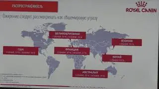 Роял Канин Ожирение  1