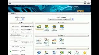 Learn all about creating and managing subdomains