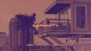 [FREE] Don Toliver x Teflon Sega Type Beat - "Serenity"