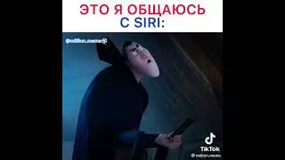 это я общаюсь С SIRI: