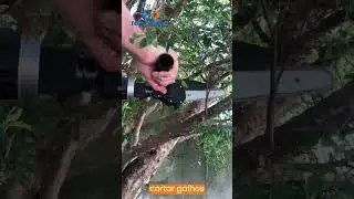 Adaptador para Poda com  Furadeira e Parafusadeira