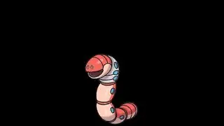 Best New Shed Tail user Orthworm