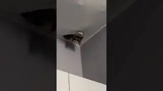 это когда последний раз видели кота и больше его никто не видел🤣