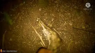 Gece gidilen mezarlıkta yatanların korkunç hikâyeleri #cin #cinler #mezar #paranormal