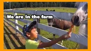 We stay in Airbnb Farm Stays | North Carolina #animals #farmstay