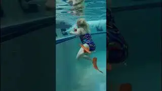 BEST Underwater Toy PART 1