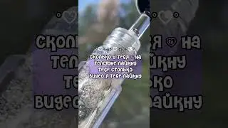 17 апреля 2023 г.