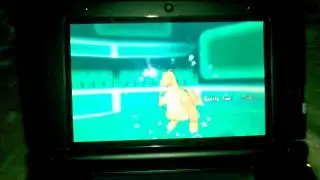 Pokemon x and y WiFi battle live #1