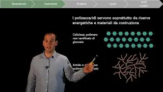 Biomolecules: Carbohydrates