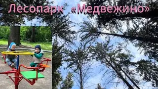 Прогулка с малышами по лесопарку «Медвежино»