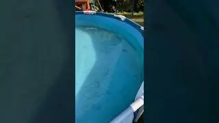 Вода в бассейне спустя 3 недели