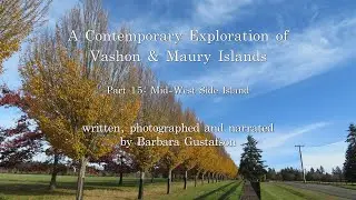 A Contemporary Exploration - Part 15: Mid-West Side Island