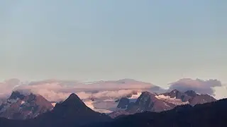 лавпавые игры