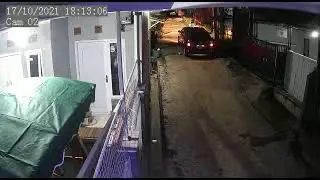 KUCING TERTABRAK 😭ll terekam cctv
