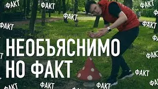 НЕОБЪЯСНИМО НО ФАКТ (ПАРОДИЯ)