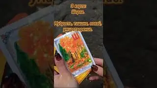 Пророчество для мужчин!