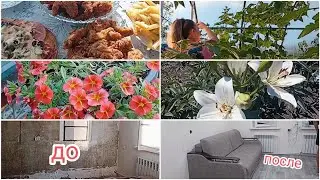 НАШ ДОМ ПРЕОБРАЖАЕТСЯ 🧚‍♀️ ЧТО НОВОГО НА УЧАСТКЕ 🌺РЕМОНТ В ГОСТИНОЙ💪
