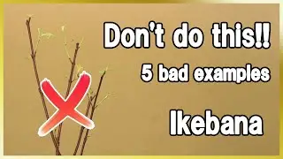 Ikebana Tutorial | Manners in Ikebana | Learn the Manners You Will Need