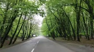 Дорога Габала Исмайыллы / Ismayilli Qebele yolu 26.04.20