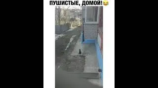 Джек Котофей