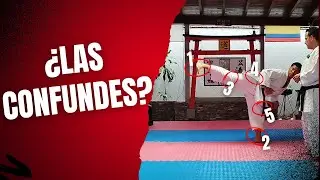 👉5 Diferencias entre YOKO KEAGE y KEKOMI