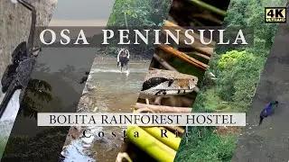 Bolita Rainforest Hostel / Osa Peninsula / Costa Rica (4K)