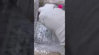 Моя новая фирма :)