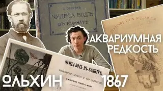 Очень редкая книга про аквариум. «Чудеса вод в комнате» Павла Ольхина