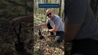 Pooping in the woods