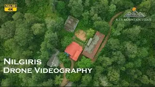 Nilgiris Drone Video | Coffee Estate | A Trail to Blue Mountain Estate | Drone Videography 4K