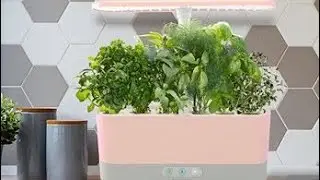 Pink AeroGarden Harvest Slim with Indoor Garden, Pink Rose Quartz