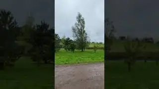 Работа в Шотландии. Castleton farm